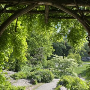 Picnic in the Park