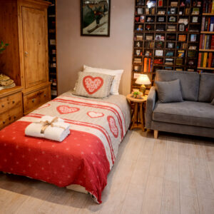 chambre chez l'habitant à Lyon